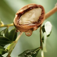 essential-argan